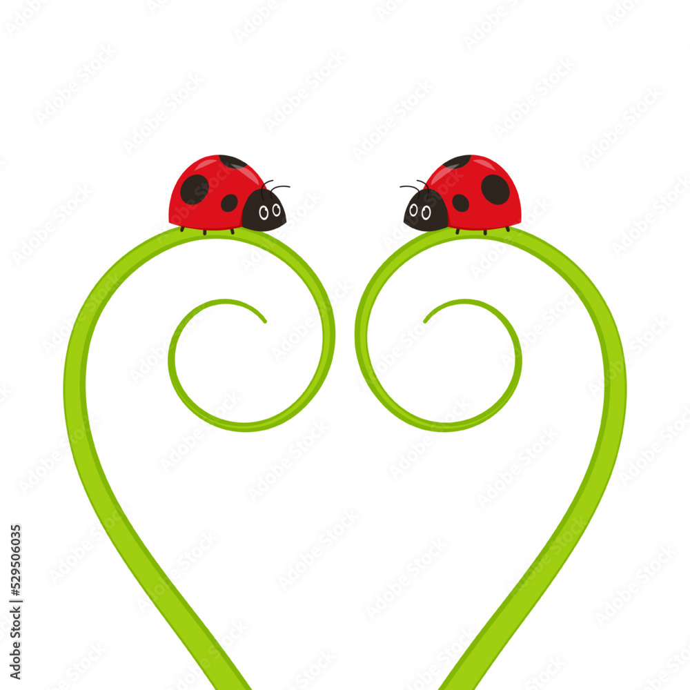 Ladybug on leaf. wallpaper. free space for text. background. symbol. ladybug on white background. Ladybug on leaf. wallpaper. free space for text. background. symbol. ladybug on white background.