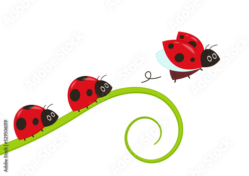 Ladybug on leaf. wallpaper. free space for text. background. symbol. ladybug on white background.