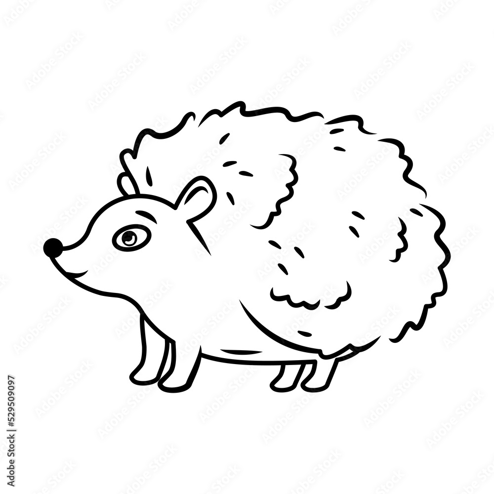 cute hedgehog stands on a white background. Vector illustration with cute forest animals contour image cute hedgehog stands on a white background. Vector illustration with cute forest animals contour image
