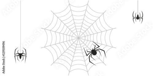Spiders and web overlay halloween spooky transparent