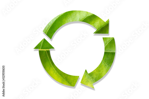 Recycling icon made from green leaves, on a white background, concept of recycling, Ecology and green environment concept.