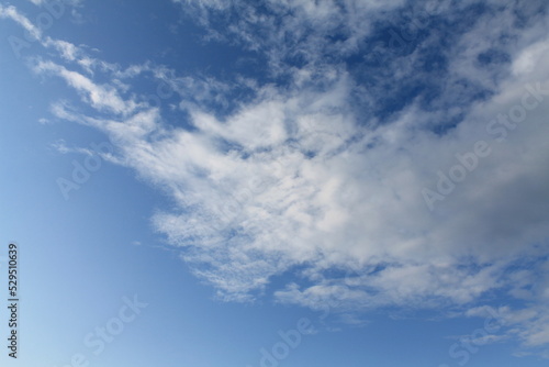 Fototapeta Naklejka Na Ścianę i Meble -  A cloud with a rhinoceros horn slowly floats across the sky. Background, wallpaper for designers