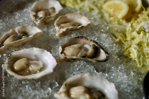 Oyster bar