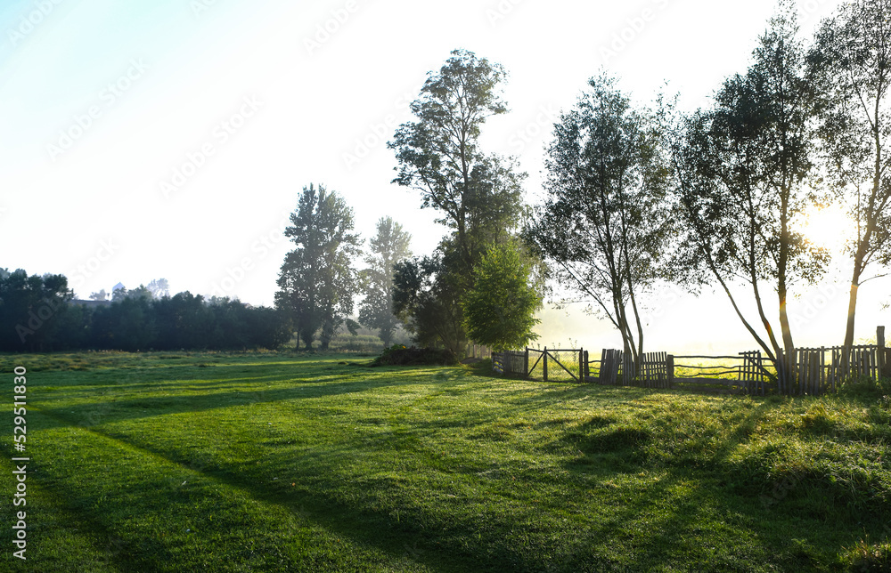 Summer rural landscape with fog in the morning. Silhouettes of trees, wooden fence. Green grass under the sun. Selective, soft focus.