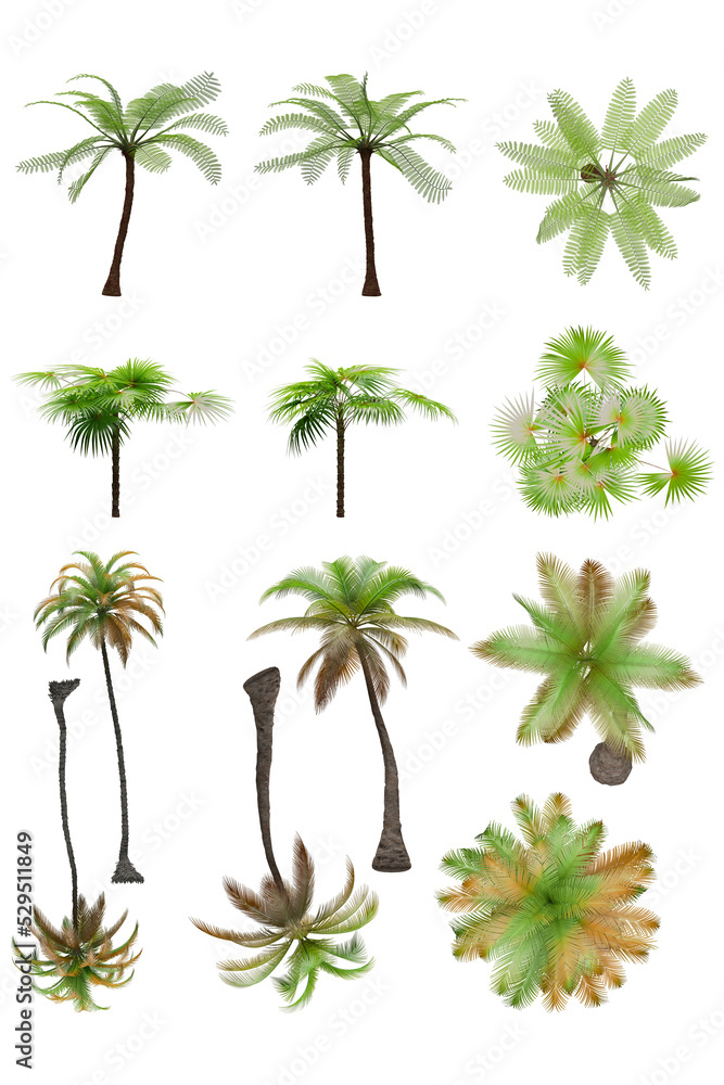Obraz premium Pack of PNG vegetation. +6K. Tropical plants. Made from 3D model for compositing