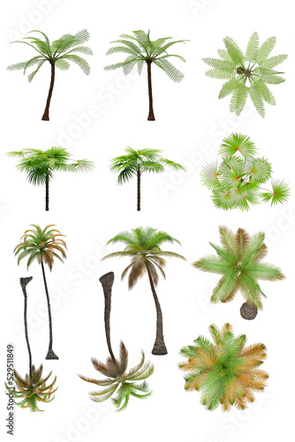 Pack of PNG vegetation.  6K. Tropical plants. Made from 3D model for compositing