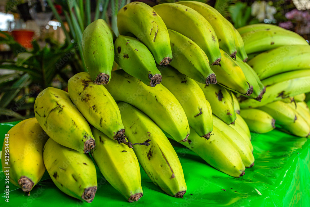 bananas in the market. ripe bananas for sale in latin american market place. vegetables for sale. tropical fruits. bunch of green bananas. 