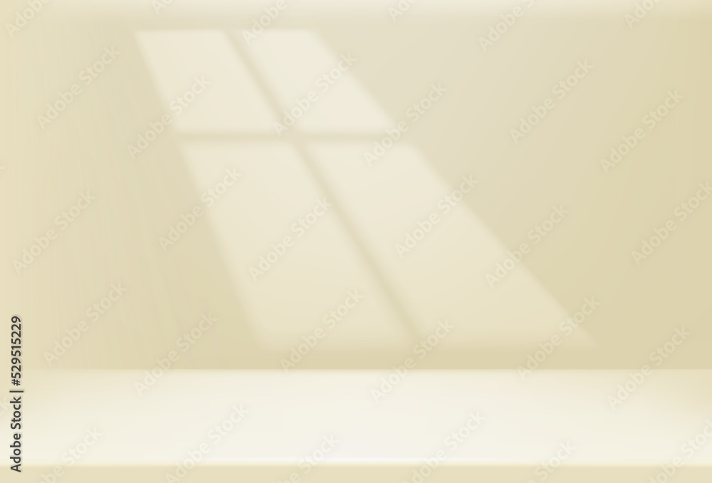 Light of the window on the bright wall. Shadow overlay vector effect Light of the window on the bright wall. Shadow overlay vector effect