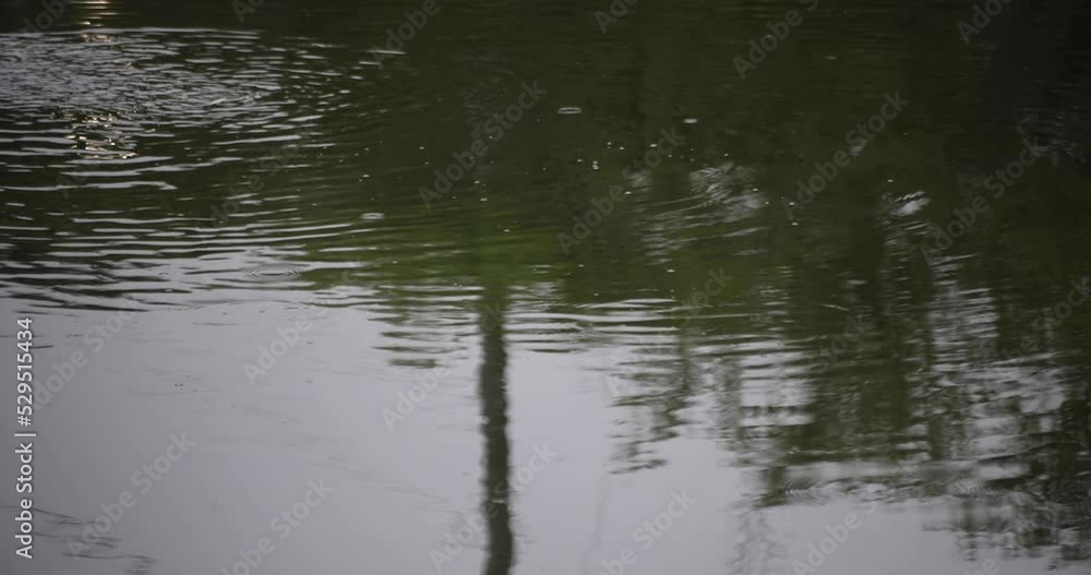 A slow motion of puddle at the pond rainy day A slow motion of puddle at the pond rainy day
