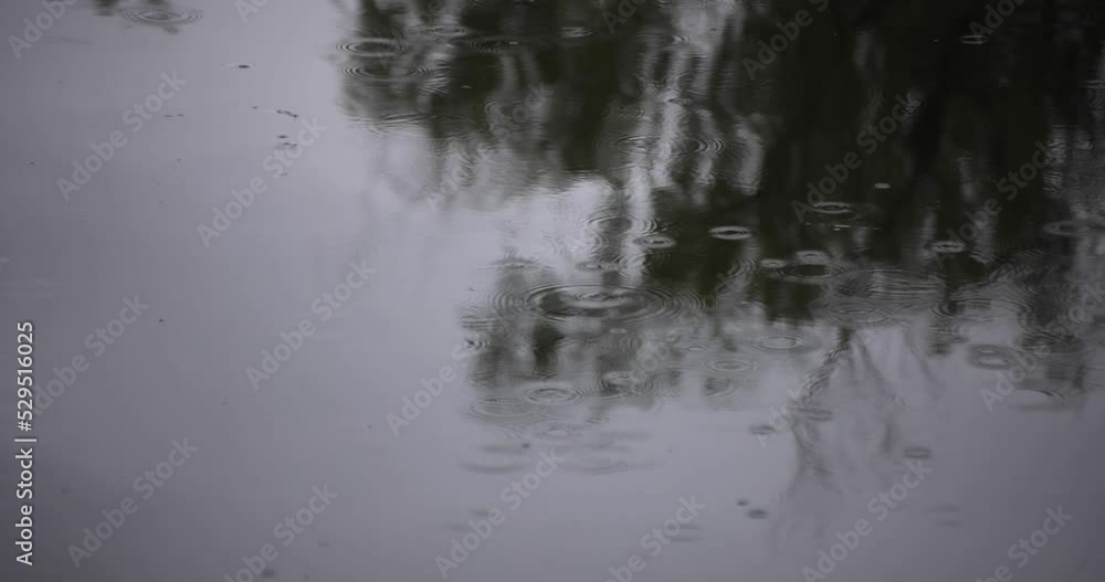 A slow motion of puddle at the pond rainy day A slow motion of puddle at the pond rainy day