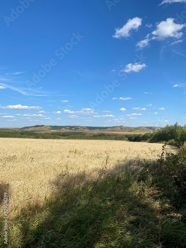 field and sky