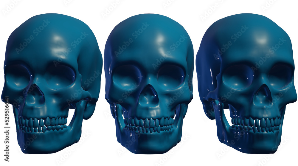 skull isolated on black skull isolated on black