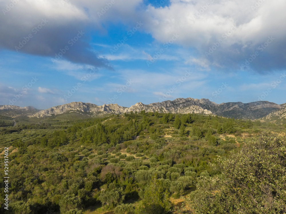Magnificent provencal landscape with a forest, an olive grove and mountains topped by blue sky and clouds in the Alpilles in Provence in France 