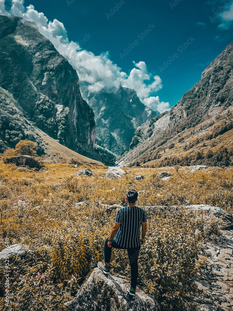 Naklejka premium Valley of flowers trek chamoli uttarakhand 