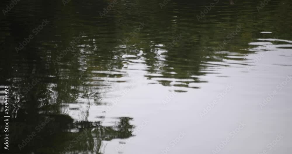 A slow motion of puddle at the pond rainy day A slow motion of puddle at the pond rainy day