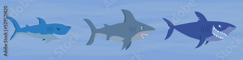Big sharks swim in the sea. Vector illustration