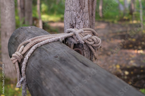 Macro climbing rope tied to a big tree. Hefty rope to tie the two trees together. © Вячеслав