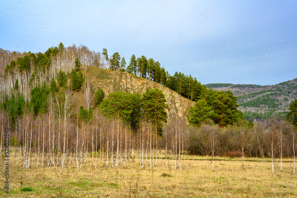 South Ural forest with a unique landscape, vegetation and diversity of nature. South Ural forest with a unique landscape, vegetation and diversity of nature.