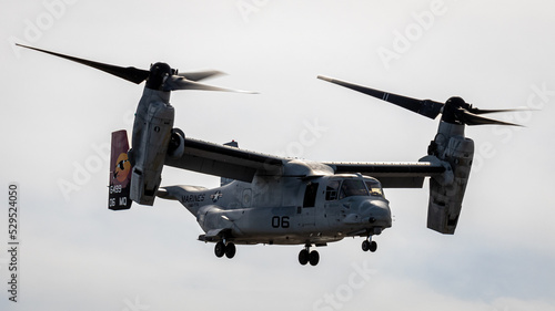 Fototapeta Naklejka Na Ścianę i Meble -  The incredible Osprey at the Stuart Air Show