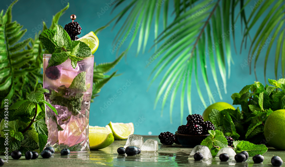 Blackberry mojito, summer alcoholic cocktail with white rum, soda, lime, mint, ice and berries. Dark tropical background, copy space