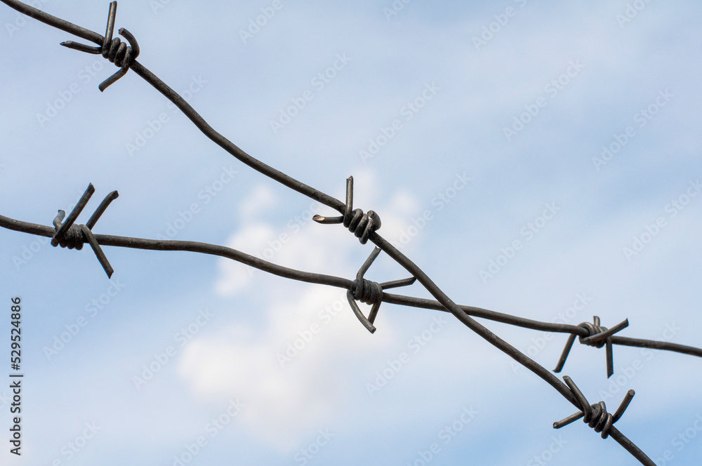 old barbed wire against the blue sky, barbed wire covered with rust old barbed wire against the blue sky, barbed wire covered with rust