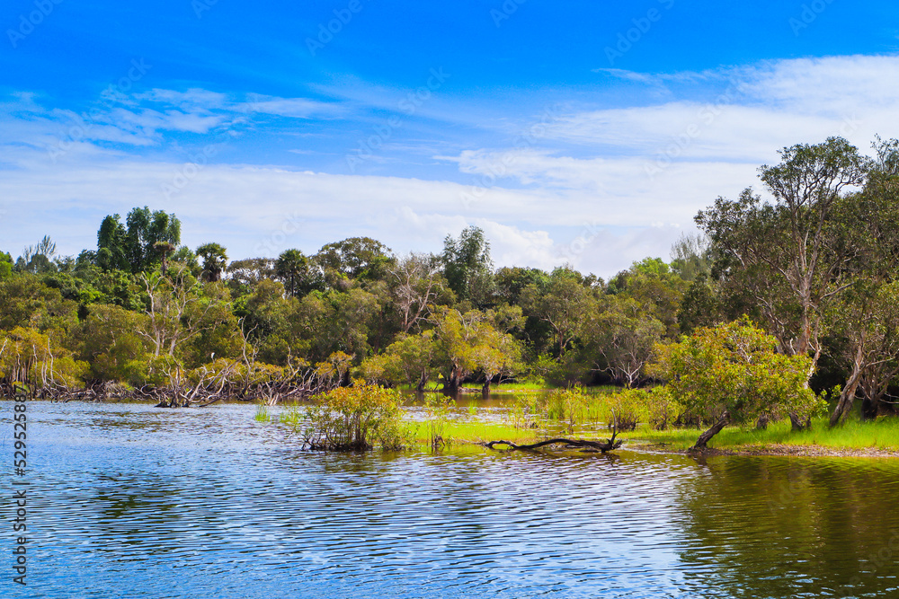 Beautiful landscape with a tropical lake Beautiful landscape with a tropical lake