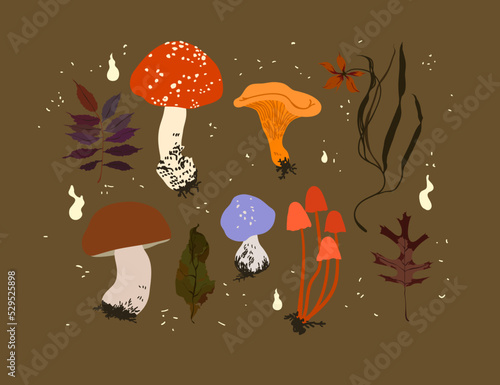 Collection Autumn plants and mushrooms, Fall decoration, Botanical retro set