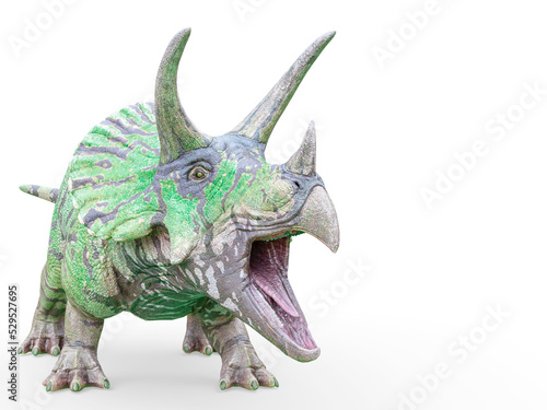 triceratops is calling on white background © DM7