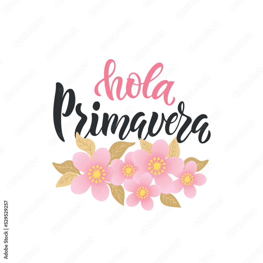 Hola Primavera (Hello Spring) handwritten text in Spanish or Brazilian Portuguese isolated on white background. Trendy script lettering design. Modern brush calligraphy, flowers. Vector illustration