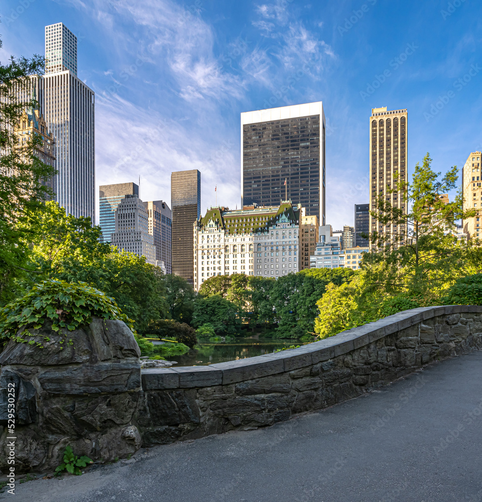 Central Park, summer at Gapstow bridge Central Park, summer at Gapstow bridge