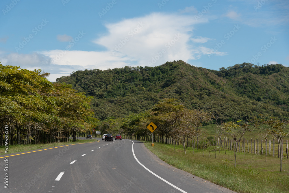 Rural road in an area with trees in a warm climate. Colombia.