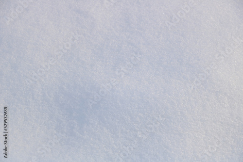 Sunny snow background with shades