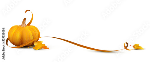 pumpkin with autumn leaves and elegant curled ribbon