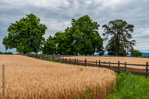 Farmfields of Antietam National Battlefield, Maryland USA, Sharpsburg, Maryland photo