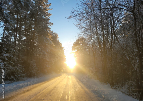 Zima, słońce oświetla ośnieżoną drogę.