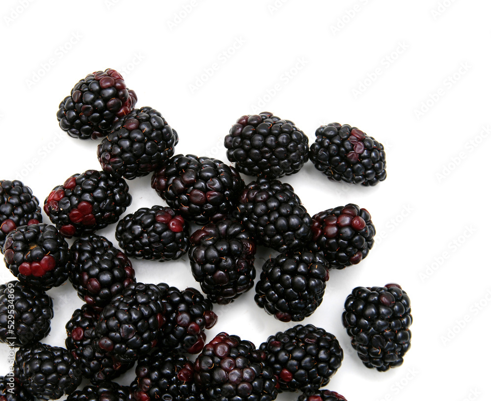 Stack Blackberry, isolated on white Stack Blackberry, isolated on white
