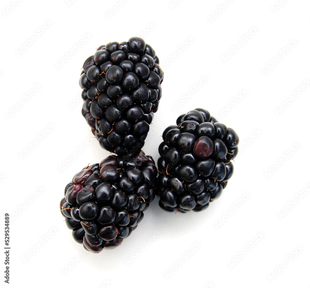 Stack Blackberry, isolated on white Stack Blackberry, isolated on white