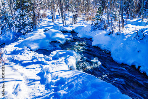 A blanket of snow decends on the park. Big Hill Springs Provincial Recreation Area. Alberta, Canada photo