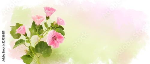 Pink field flowers on pastel watercolor background, wildflowers. Horizontal banner with copy space. Place for a text. Spring card