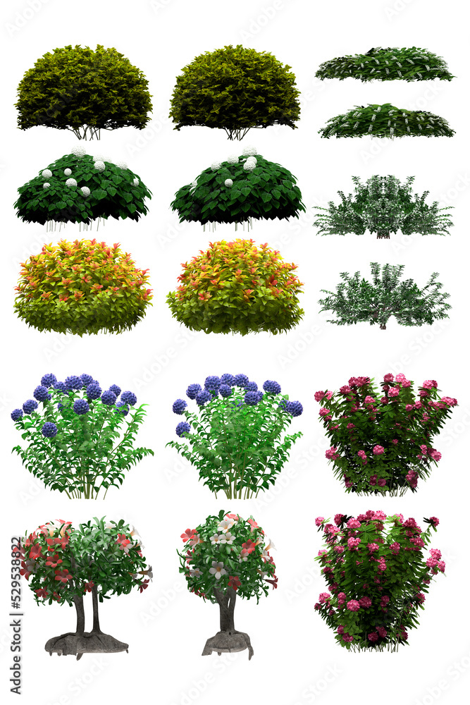 Fototapeta premium Pack of PNG vegetation. +6K. Flowering Bushes. Made from 3D model for compositing