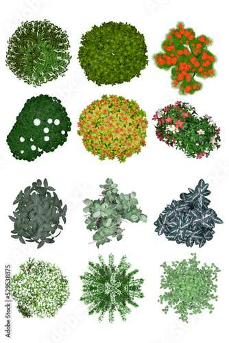 Pack of PNG vegetation.  6K. Flowering Bushes. Made from 3D model for compositing