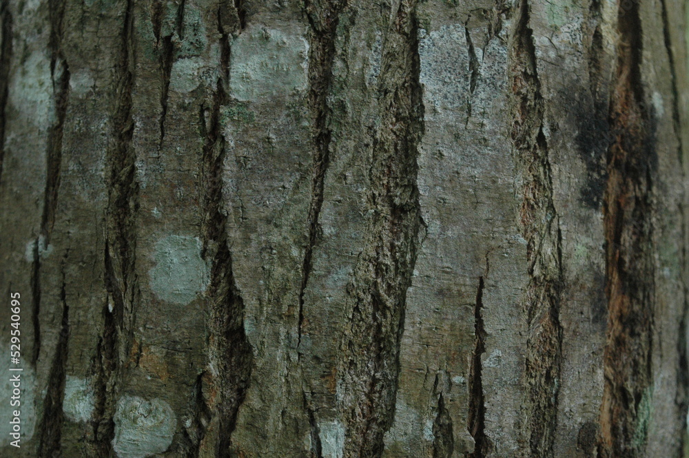 Obraz premium texture incrible 