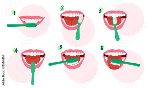 Step-by-step instructions for brushing teeth. Toothbrush and toothpaste for oral hygiene. Clean white tooth. Healthy teeth.