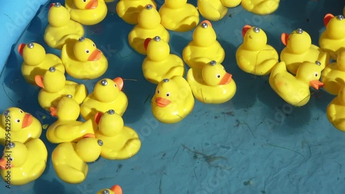 Many yellow rubber ducks swimming in circles in a pool - close-up in 4K. photo