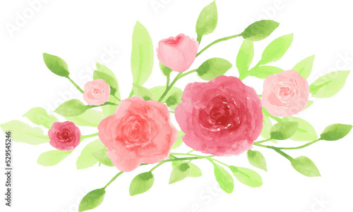 Rose Arrangement Watercolor