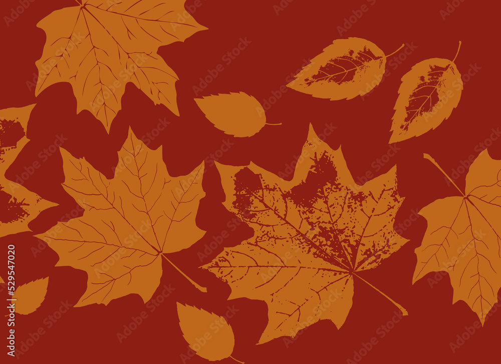 Fototapeta premium autumn leaves background