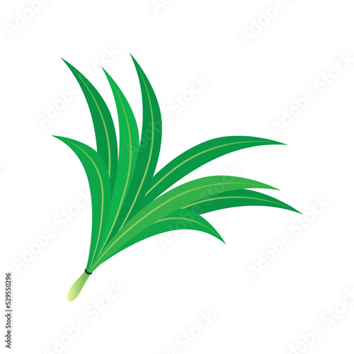 Pandan leaf illustration icon free