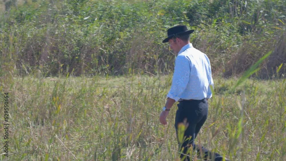 Cowboy walking in tall grass while thinking about life. Cowboy walking in tall grass while thinking about life.