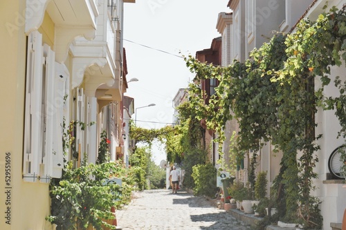 Fototapeta Naklejka Na Ścianę i Meble -  Mediterranean Street with Ancient Buildings and Trees 
