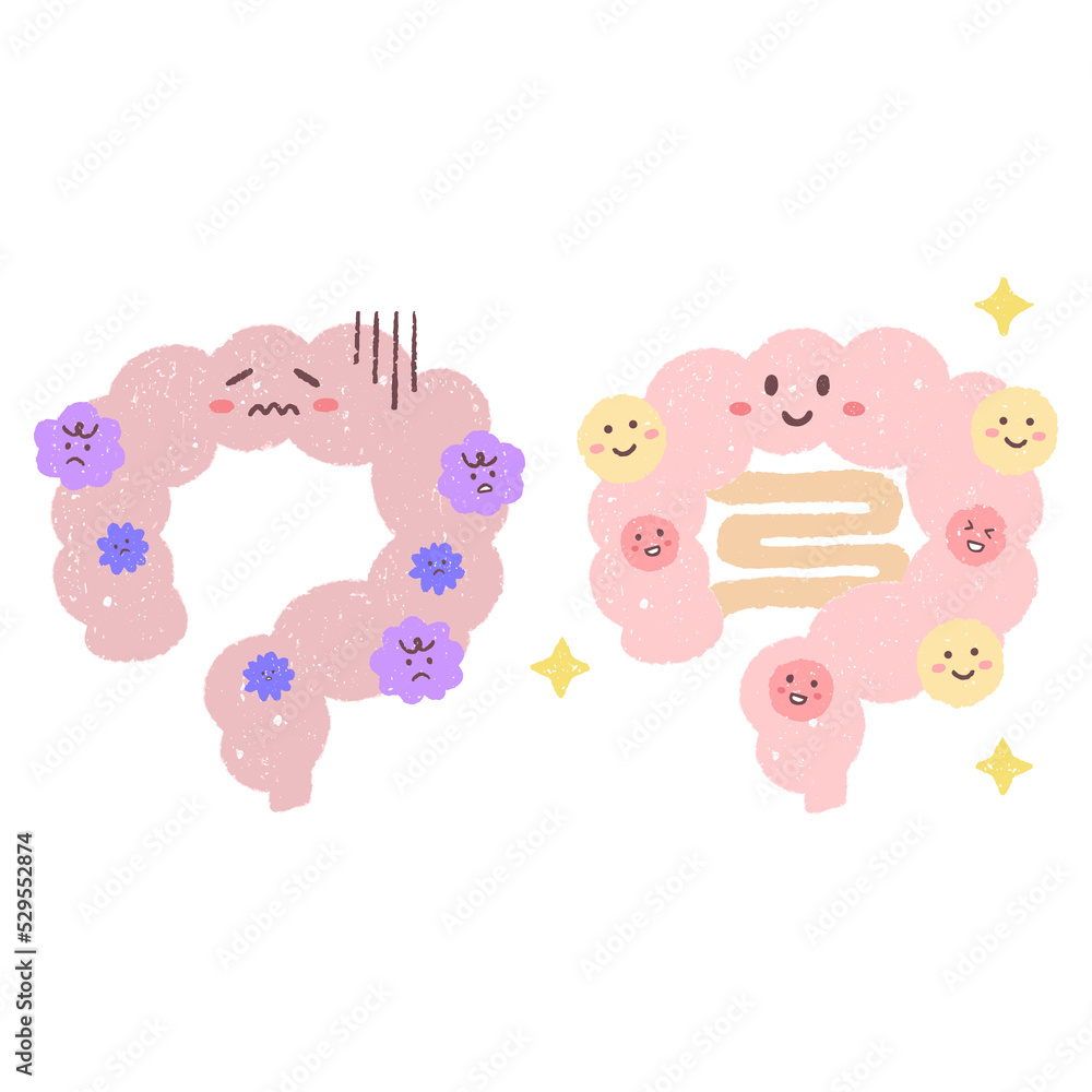 手描きの悪玉菌がいる腸と善玉菌がいる腸のセット 手描きの悪玉菌がいる腸と善玉菌がいる腸のセット